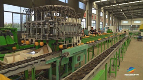 Diễn đàn dịch vụ xuất xứ tiêu chuẩn hóa trái cây đầu tiên