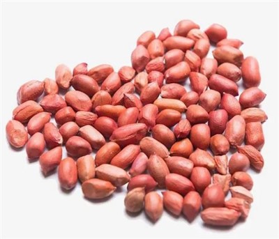 Đậu phộng nguyên liệu tươi lớn