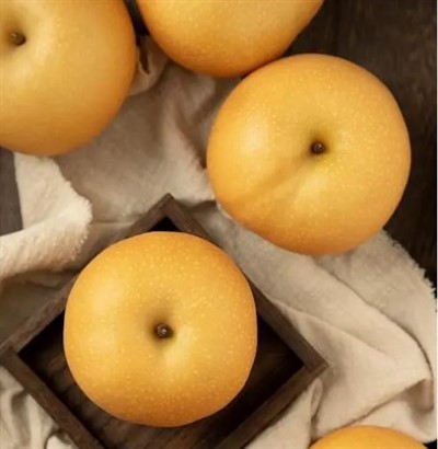 Lê châu Á khổng lồ