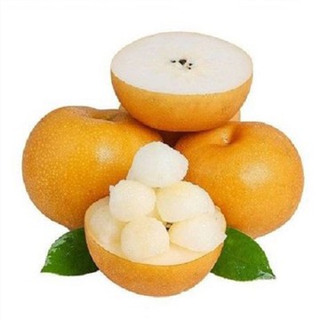 Quả lê châu Á Qiuyue